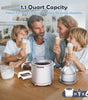 Briobite Dolce1000 Silver Ice Cream Maker - BRIOBITE